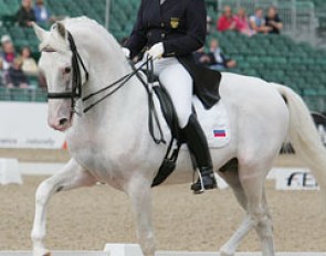 Balagur travelling the show ring at his last major championship in his career: the 2009 European Championships in Windsor (GBR)