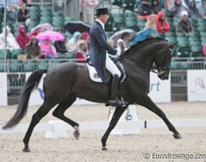 Belgian Stefan van Ingelgem on Bart van Malderen's Belgian warmblood licensed stallion Withney van 't Genthof (by Ferro).