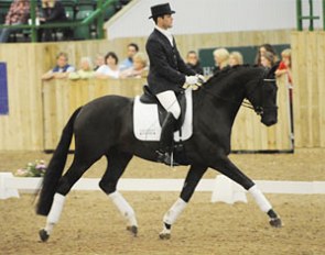 Tim Sillevis on Romano Ruinart