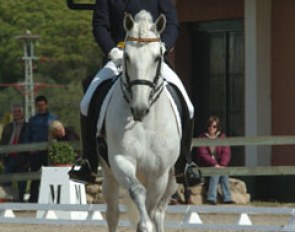 Claudio Castilla Ruiz on Jade de MV