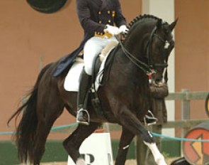 Jordi Domingo Coll on Prestige