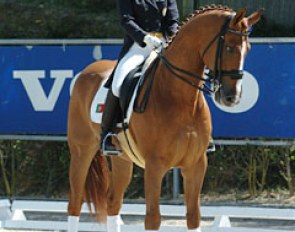 Mafalda Galiza Mendes on D'Artagnan