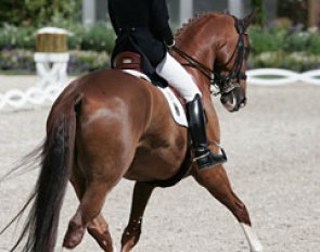 Balkenhol & Dablino were good but not great. The passage and piaffe were lovely and regular but judges were only willing to give 7s for them. The walk was tense and not so clear in rhythm and the change after the extended canter was in 2 phases.