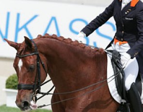 Peek-a-boo. Tongue came out upon leaving the arena. Adelinde nicely tucked it in again in full view of the crowds.