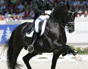 Totilas, 2010 Aachen Grand Prix Champion :: Photo © Astrid Appels