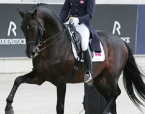 Mikala Gundersen and Leonberg at the 2010 CDIO Aachen