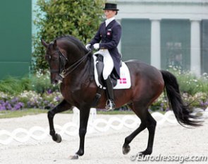 Mikala Gundersen and Leonberg at the 2010 CDIO Aachen :: Photo © Astrid Appels