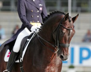 Mikala Gundersen and Leonberg at the 2010 CDIO Aachen