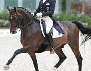 Matthias Rath & Sterntaler had a loss of rhythm in the first extended trot and half pass right. The first piaffe was ok, but in the second the horse jerked his right hind high. The canterwork was excellent but they didn't do enough steps of piaffe at X.