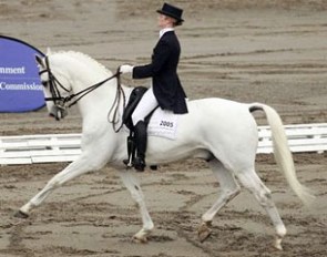 Australian Under 25 rider Ashlea Day on CP Perolus