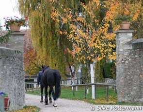 The entrance at La Panetiere, Catherine and Michel Henriquet's farm in Autouillet, France :: Photo © Silke Rottermann