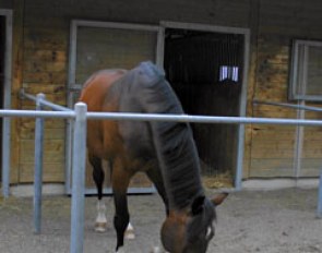 Regent in his pen