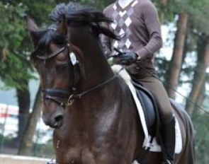 Helen Langehanenberg was one of the few riders wearing a helmet training an "older" horse