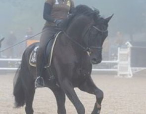 Dorothee Schneider schooling Stockholm in the morning