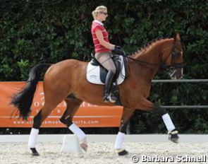 Laura Bechtolsheimer brought her upcoming Grand Prix horse Tellwell to Cappeln to train