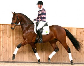 Cyrano, Price Highlight of the 2010 EFS Auction