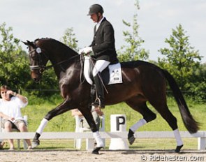 Best performance test result in dressage this year has been achieved by 3-year-old Sirikit (by Blue Hors Hotline x Blue Hors Don Schufro), bred and owned by Peter Christensen, Nakskov.