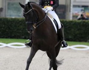 Carolin Fehlings and her Classical Sales Warendorf auction horse Fritz San Tino place 12th in the Young Riders' division