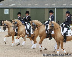 The German silver medal winning "Golden" Palomino team - White Gold B, Deinhard B, Danilo, Golden Derano C - at the 2010 European Pony Championships in Bishop Burton :: Photo © Astrid Appels