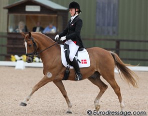 Danish Sofie Hougaard on Dornick Son (by Dornik B) were 10th with 70.800%