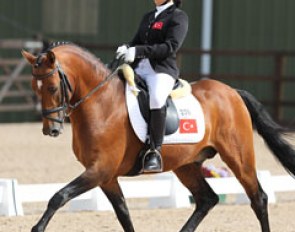 Turkish representatives: Rotem Ibrahimzadh on former German team pony Flamenco Star