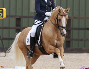 Jessica Krieg and Danilo at the 2010 European Pony Championships :: Photo © Astrid Appels