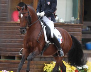 Dragon Heart (by FS Don't Worry x Valido) :: Photo © Astrid Appels