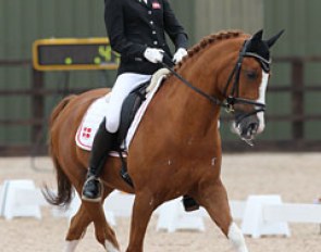 Anne Fabricius Tange and Tim at the 2010 European Pony Championships :: Photo © Astrid Appels
