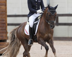 Suzanne van de Ven and the Danish bred Welsh Pony Majos Cannon (by Marchi) were 7th with 72.400%.
