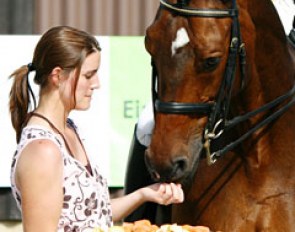 Groom Evelyne Koller feeds Regent apples and carrots at his retirement ceremony at the 2010 Swiss Dressage Championships :: Photo © Silke Rottermann