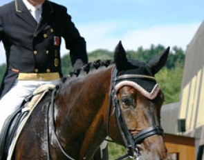 Pläge finishes his ride on Lambadero