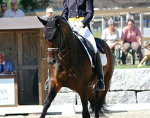 Andrea Wicki-Mäder on the Trakehner Distelzar