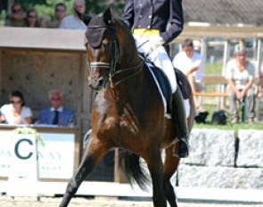 Wicki-Mäder and Distelzar won bronze