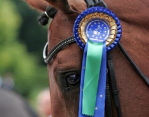 Seigneur with an official European Junior/Young Riders Championship ribbon
