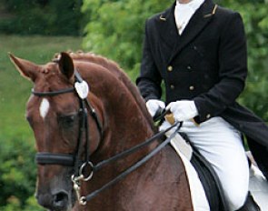 Ivan Antochika on Stanley :: Photo © Astrid Appels