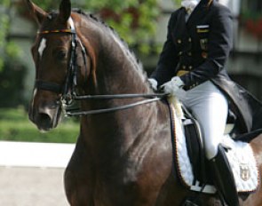 Jill de Ridder and Charmeur. Lovely pair but Charmeur is still very inconsistent in the contact with the bit. In trot he pushes himself high, in canter he gets deep. The trot was fluent though and the right walk pirouette tiny