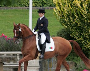 Portuguese Rodrigo Galiza Mendes and Wonderbra (by Wolkenstein II x Grenadier) showed some super trot work. Galiza Mendes has a nice quiet seat and steady hand. Pity that the canter work was spoilt by much tension