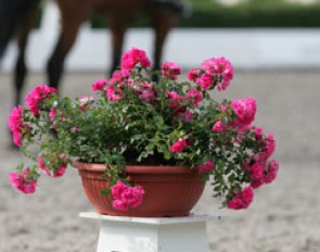 Dressage letter at the 2010 European Junior/Young Riders Championship show ring in Kronberg :: Photo © Astrid Appels