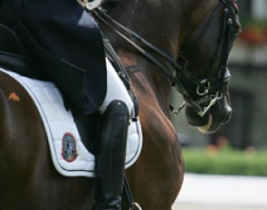 Probably the ugliest saddle pad ever. This dark logo is supposed to suggest that the rider is competing for Belgium. Sponsor Lami Cell was more interested in marketing its own brand than providing a "Belgian" coloured pad.