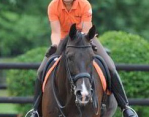 Dutch individual test bronze medal winning Danielle van Mierlo on Ucento