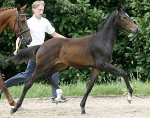 Fine and Smart (by Sorento x Jazz)