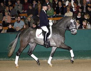 Finlay (by Florestan x Donnerhall), Price Highlight of the 2010 Munster Winter Auction