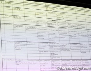 Channon made an attempt at creating a code of points for the passage based on the descriptions in the FEI Dressage Handbook