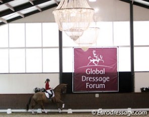 Demonstration at the 2010 Global Dressage Forum :: Photo © Astrid Appels