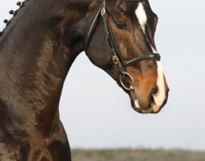 Sancisco (by Sandro Hit x Rohdiamant)