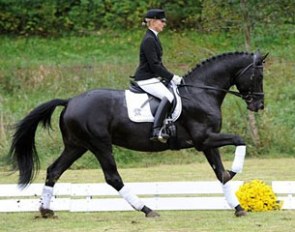 Irina Oberthur aboard the Trakehner licensed stallion Kronprinz