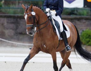 Kayce Redmond and Latino win the 2010 Brentina Cup :: Photo © Sue Stickle