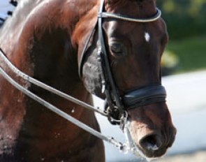 The gorgeous face of Emma Hindle's Furstenreich