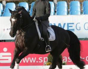 Uta Gräf and the Holstein bred Le Noir finished second in the Hagen Medien Cup Qualifier. Here you see them schooling early in the morning