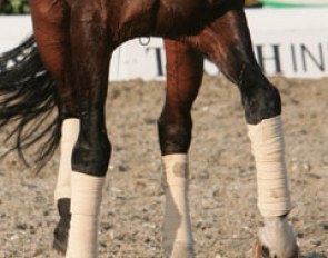 Wide in front in the piaffe